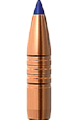 Barnes .30 Caliber 180 Grain Polymer Tipped TSX Bullet