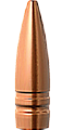 Barnes .30 Caliber 130 Grain TSX Bullet